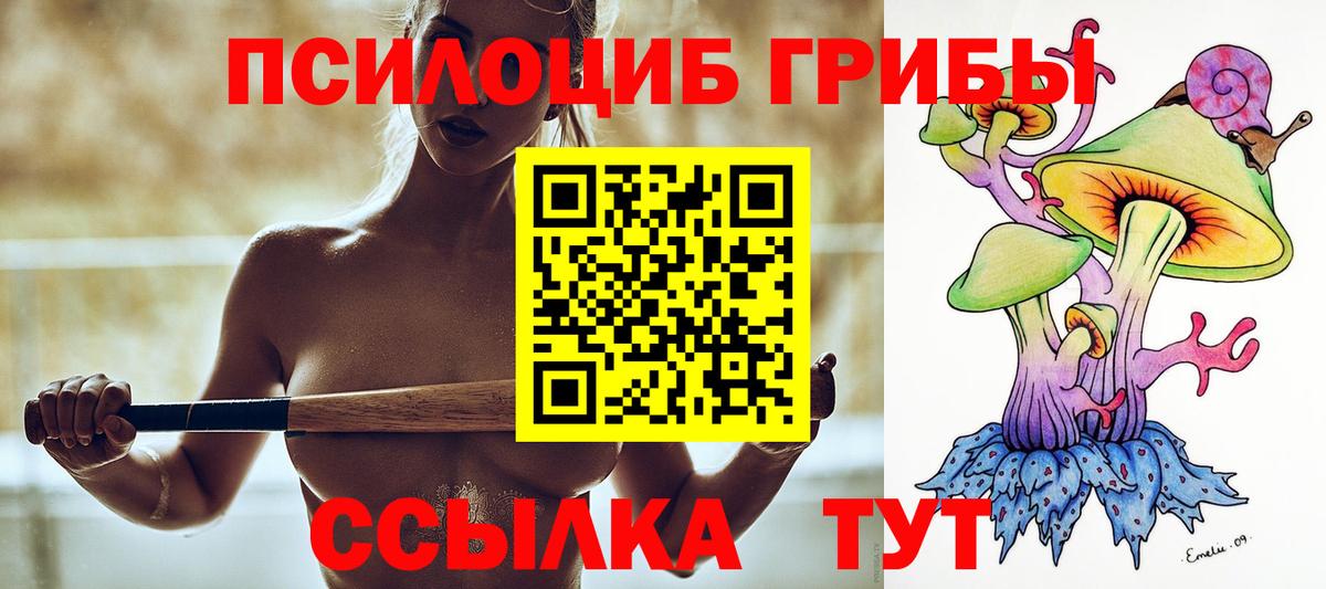 Галлюциногенные грибы GOLDEN TEACHER  цена   Вход с VPN  Шебекино  Галлюциногенные грибы мухоморы 